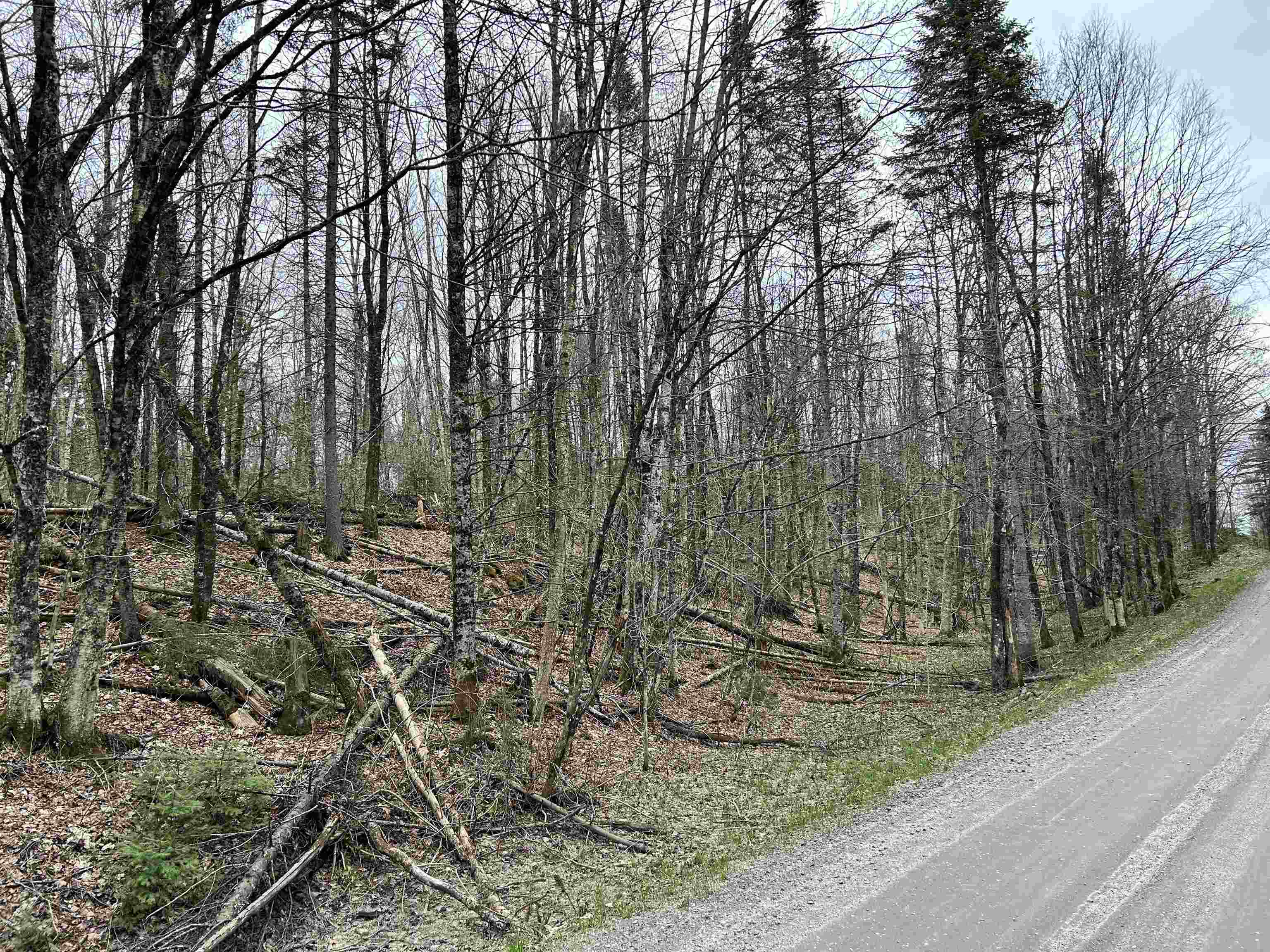 0 Andersonville Road Barton, VT 05875 - Photo 2 of 13