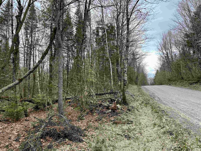 $75,000 | 0 Andersonville Road, Barton, VT 05875