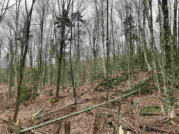 $75,000 | 0 Andersonville Road, Barton, VT 05875