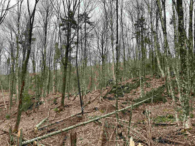 $75,000 | 0 Andersonville Road, Barton, VT 05875