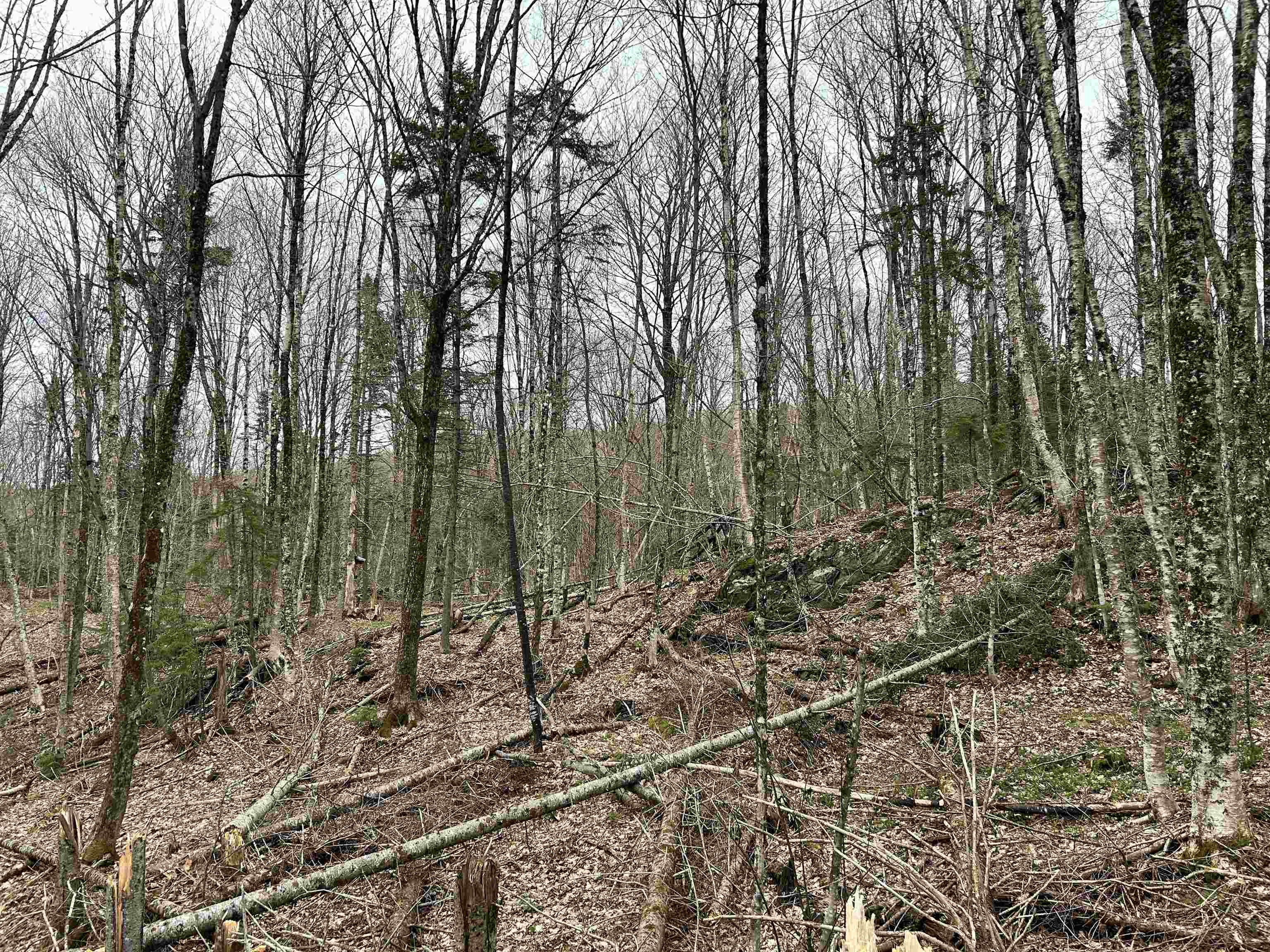 0 Andersonville Road Barton, VT 05875 - Photo 5 of 13