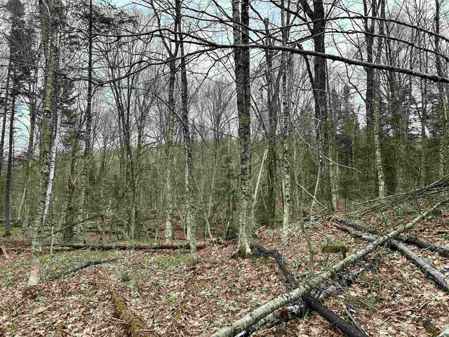 $75,000 | 0 Andersonville Road, Barton, VT 05875