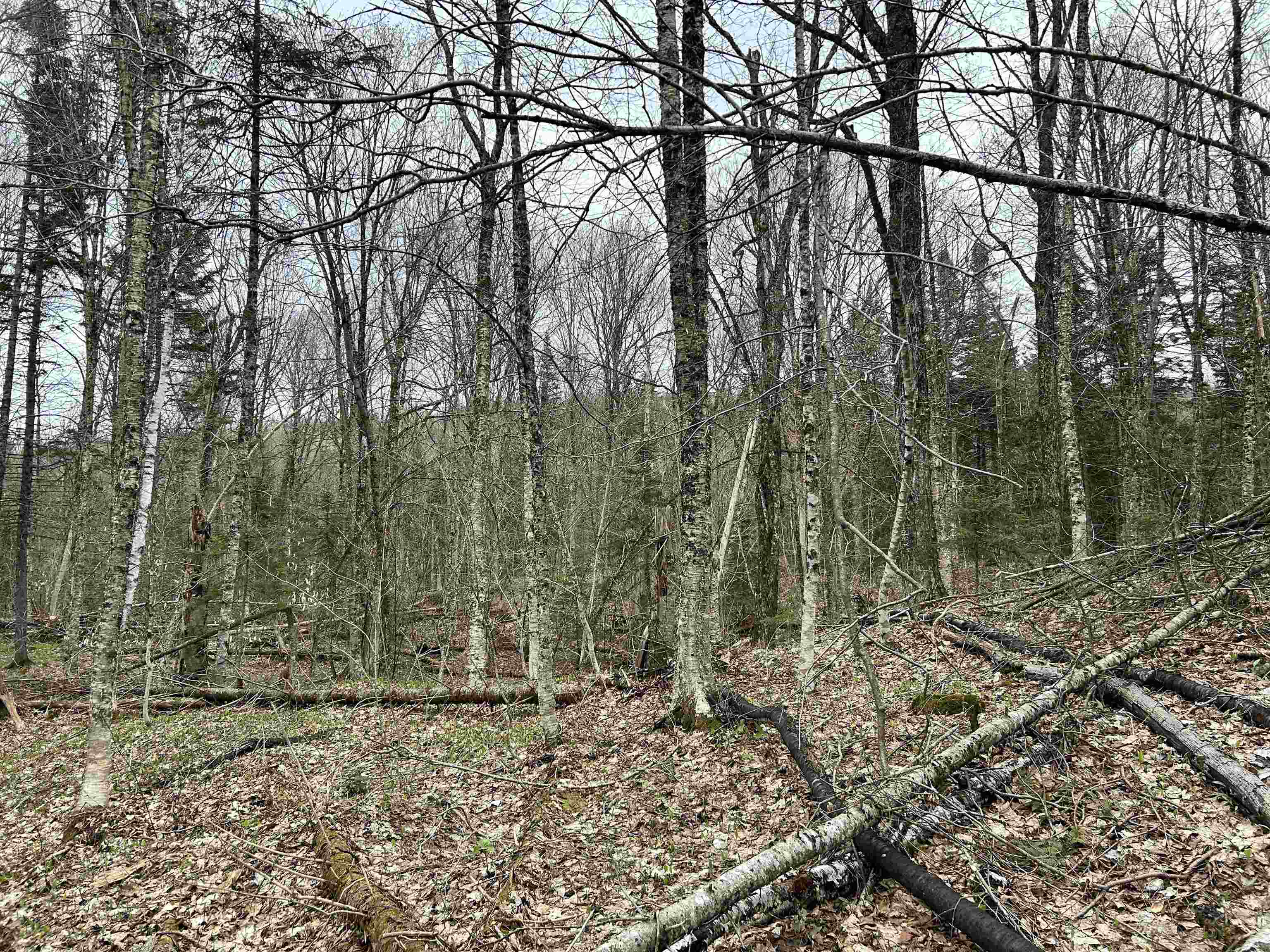 0 Andersonville Road Barton, VT 05875 - Photo 6 of 13