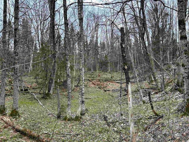 $75,000 | 0 Andersonville Road, Barton, VT 05875