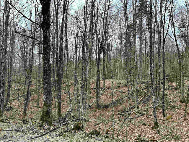 $75,000 | 0 Andersonville Road, Barton, VT 05875