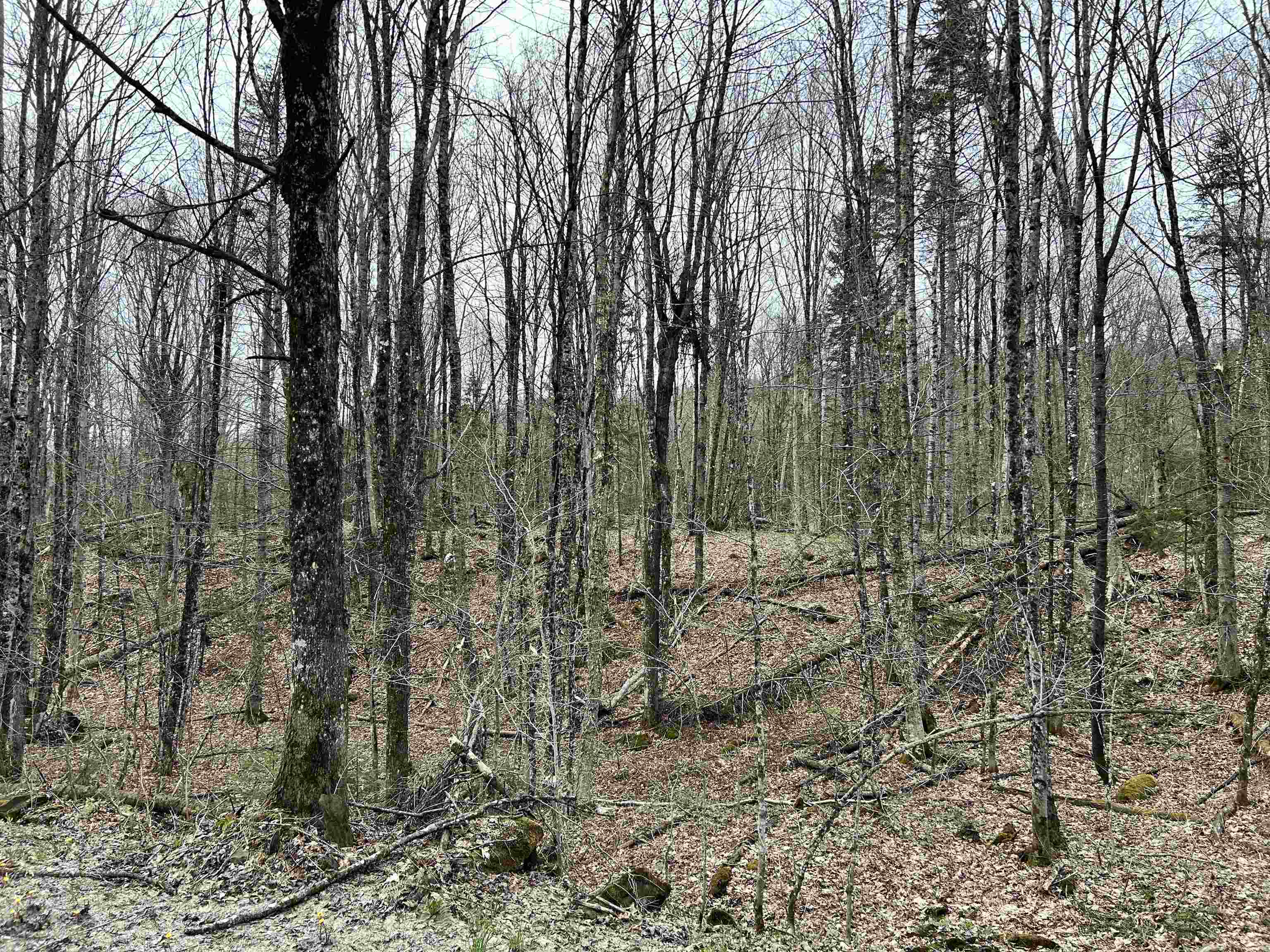 0 Andersonville Road Barton, VT 05875 - Photo 8 of 13