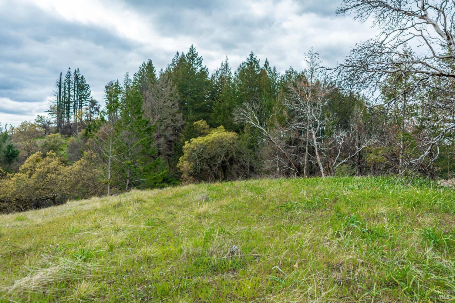 1401 Big Ridge Road Healdsburg, CA 95448 - Photo 60 of 86