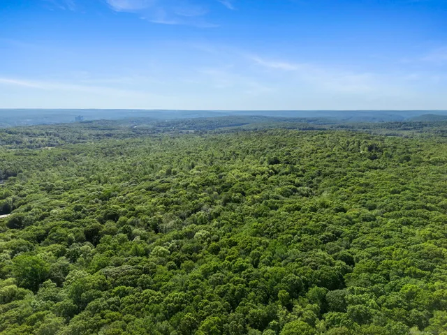 a view of a green field with lots of bushes
