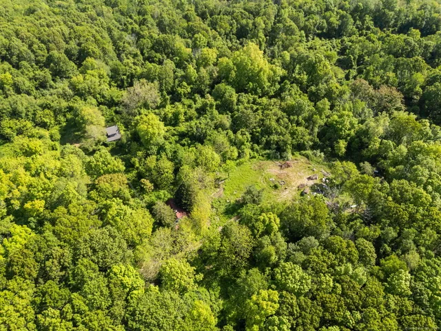 an aerial view of a houses with a lush green hillside