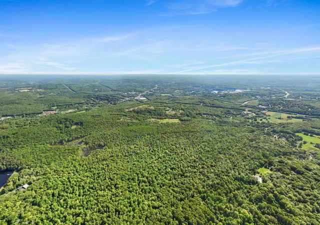 a view of a city with lush green forest