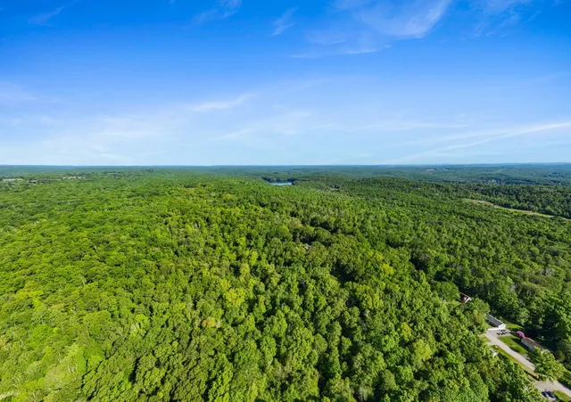 a view of a field of grass and trees