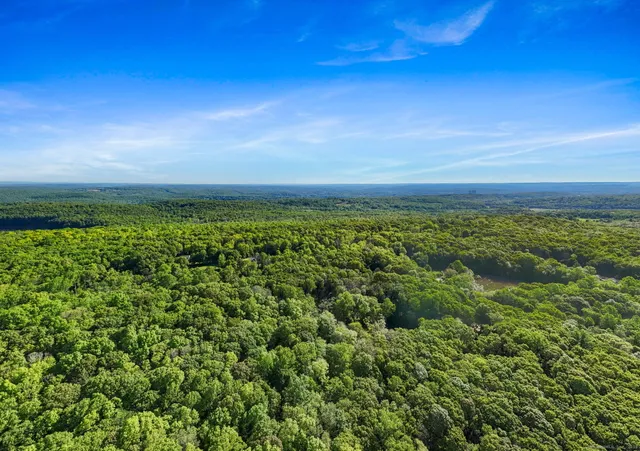 a view of a field with lots of bushes