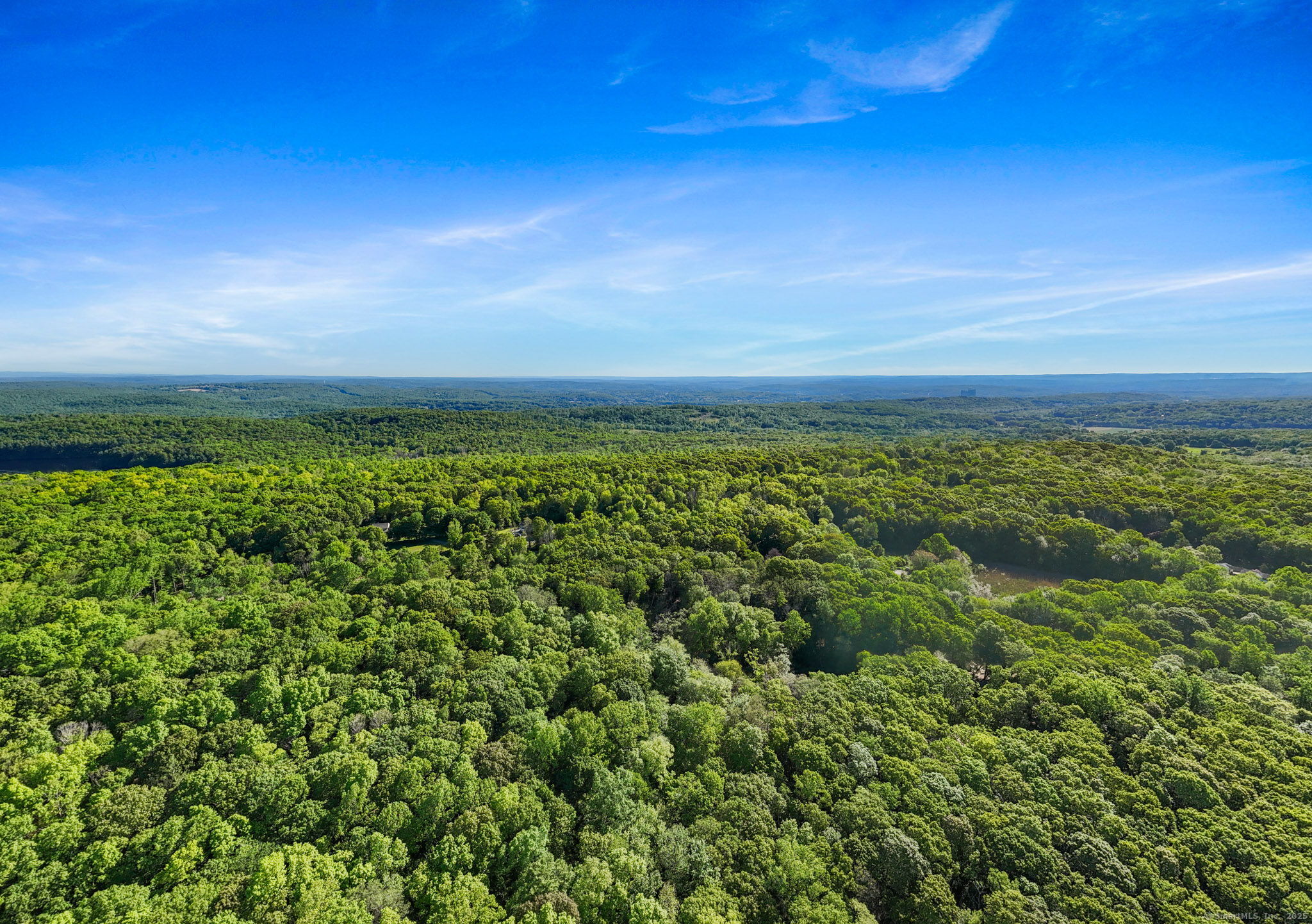 63 Velgouse Road Montville, CT 06370 - Photo 8 of 21 a view of a field with lots of bushes