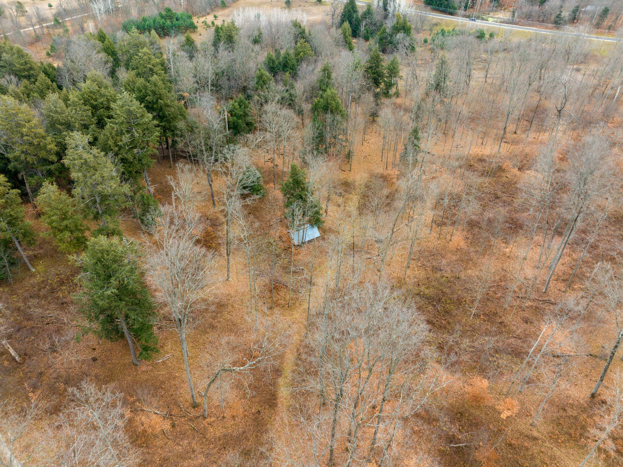 0 2 2 Mile Road Reed City, MI 49677 - Photo 12 of 23 12-web-or-mls-DJI_0873