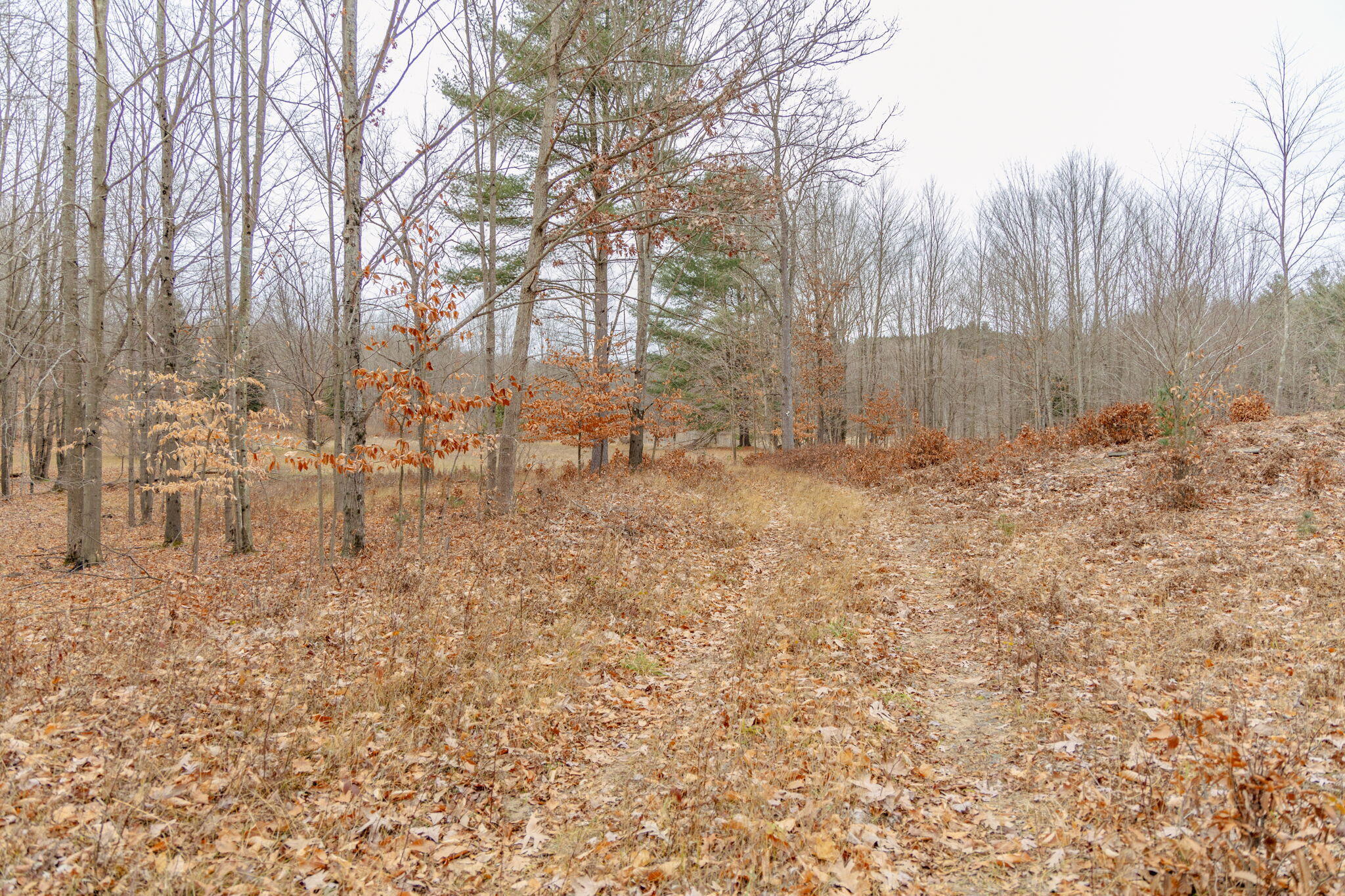 0 2 2 Mile Road Reed City, MI 49677 - Photo 18 of 23 18-web-or-mls-IMG_1692