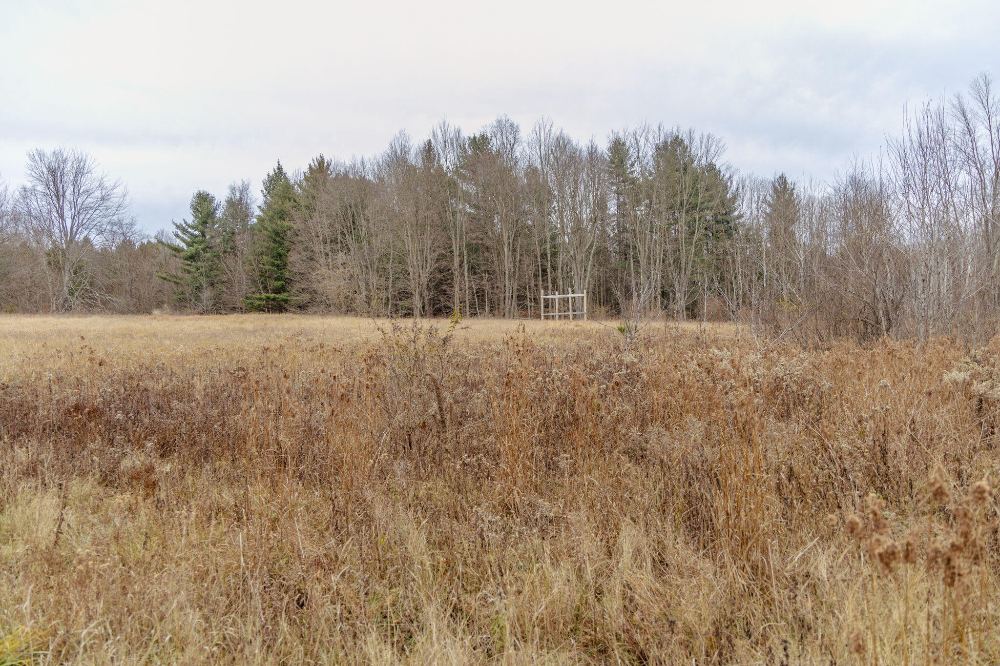 0 2 2 Mile Road Reed City, MI 49677 - Photo 20 of 23 20-web-or-mls-IMG_1696