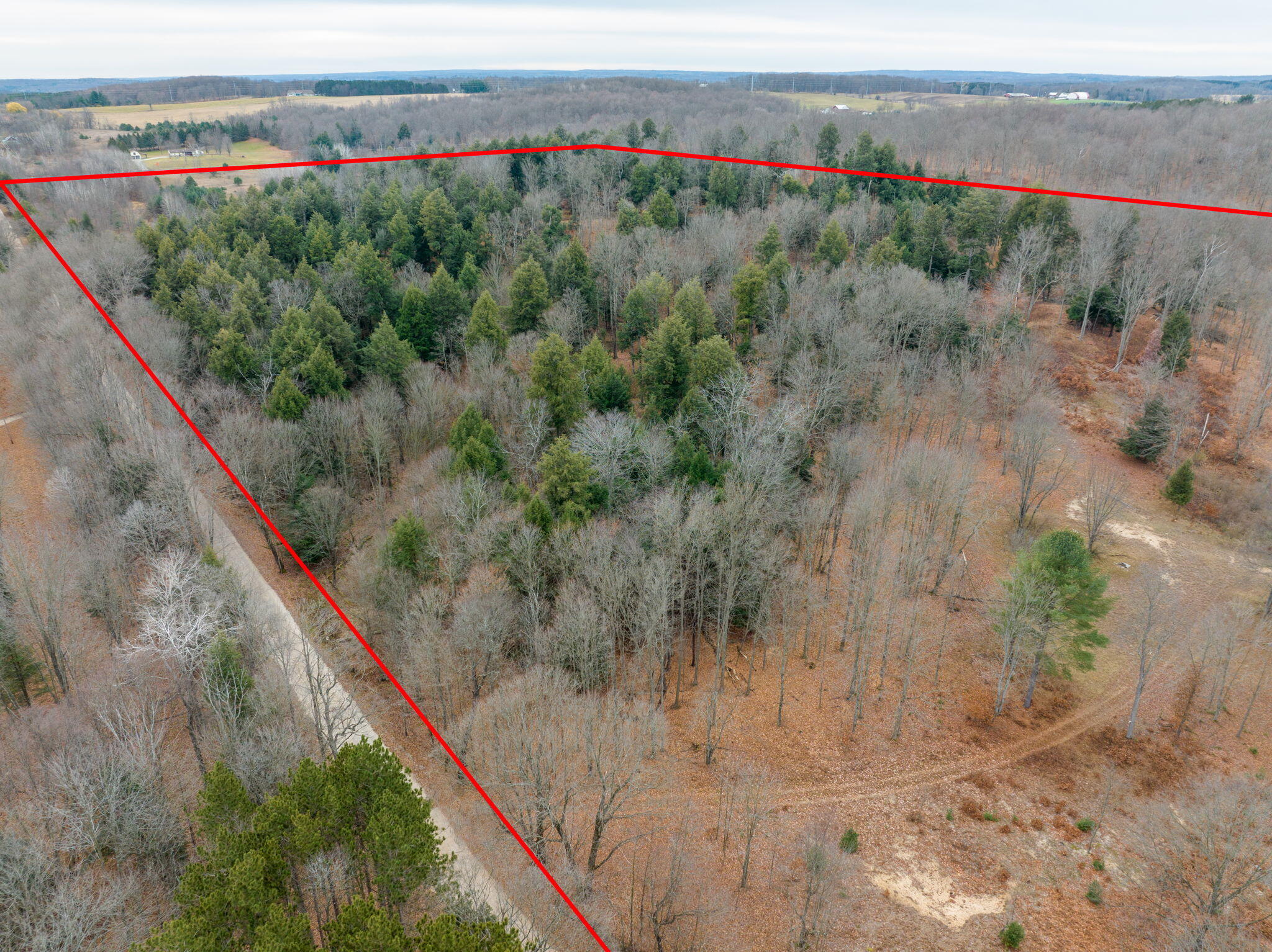 0 2 2 Mile Road Reed City, MI 49677 - Photo 10 of 23 10-web-or-mls-DJI_0861-Edit-Edit