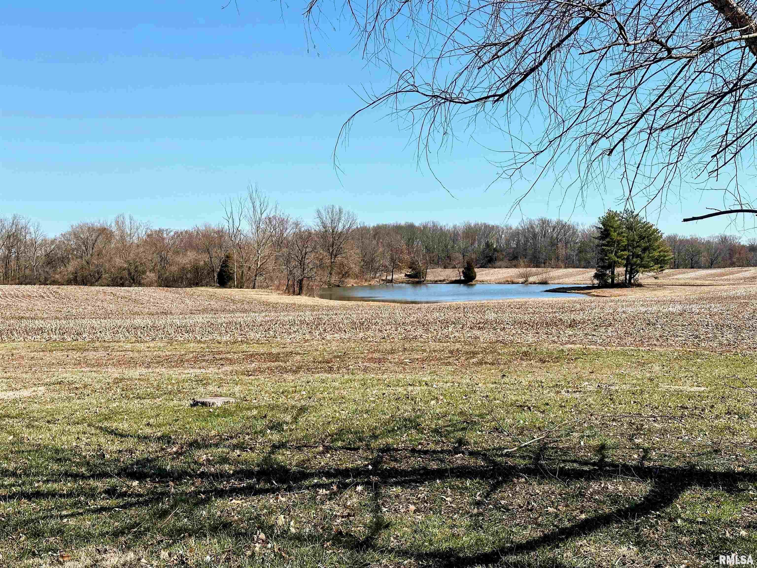 470 Meadowcroft Road Galatia, IL 62935 - Photo 53 of 71 Gallery Image 53