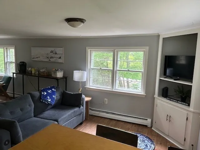 a living room with furniture window and flat screen tv