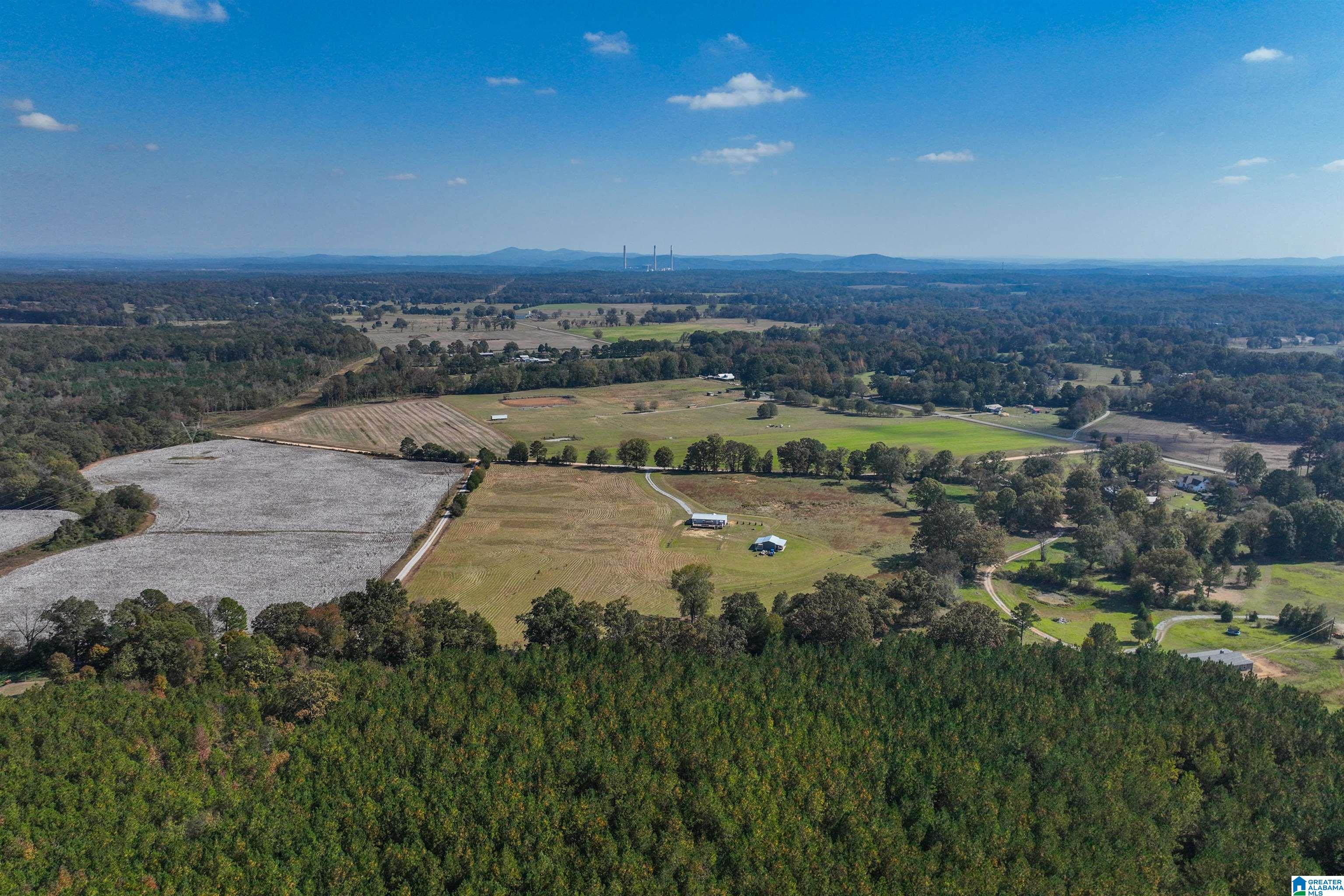 277 Jackson Farm Road Wilsonville, AL 35186 - Photo 60 of 68