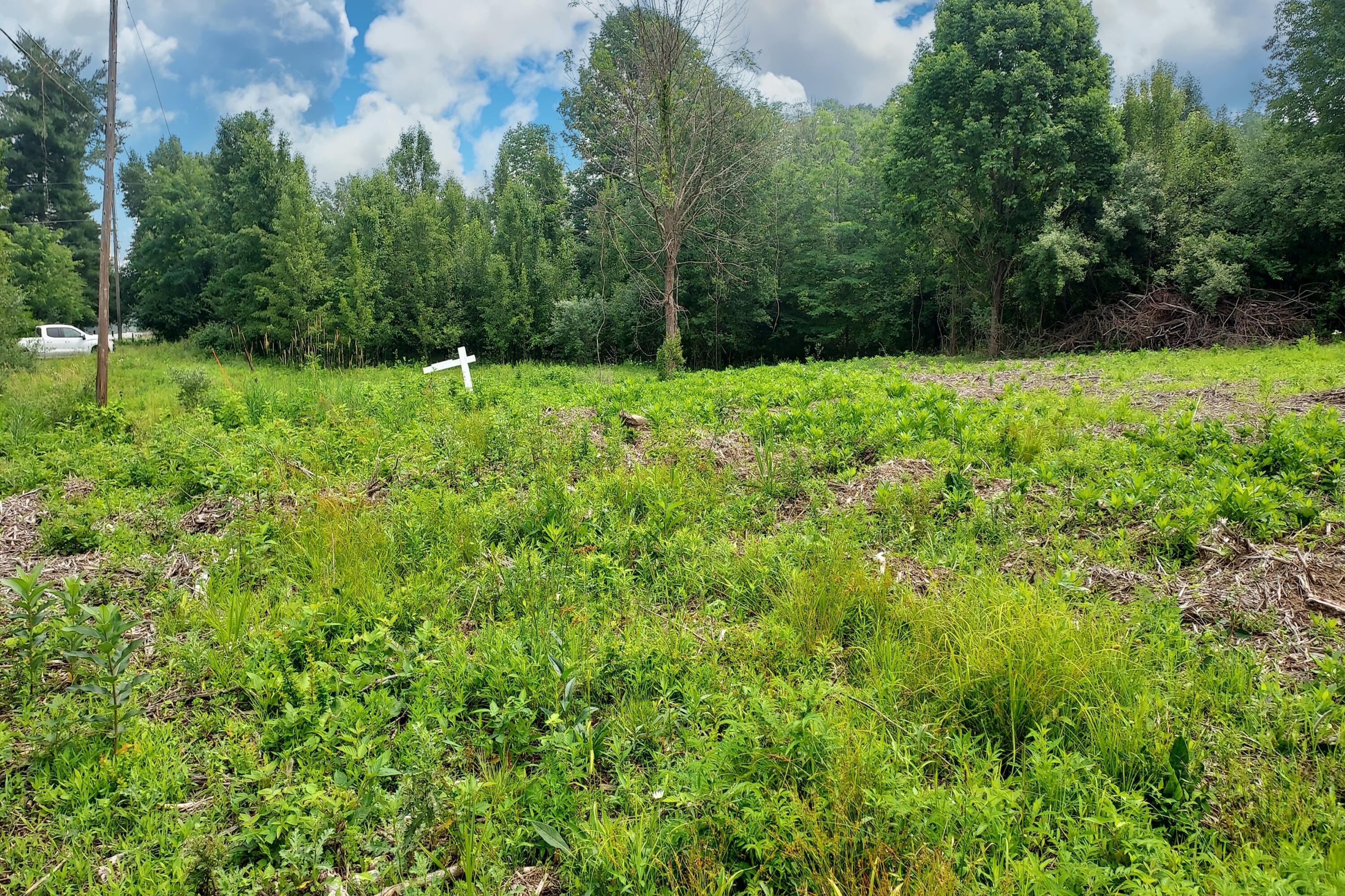5547 Red Bank Road, Unit TRACT B Galena, OH 43021 - Photo 12 of 24 13. View of Lot