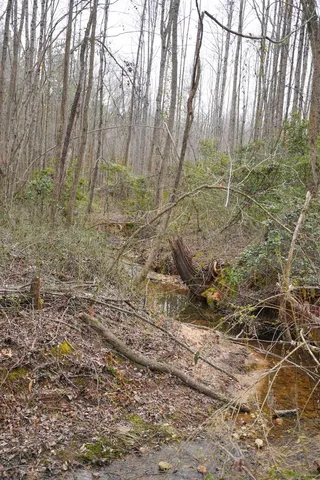 $199,900 | 0 Cantrell Drive, Chesnee, SC 29323