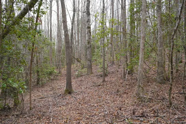 $199,900 | 0 Cantrell Drive, Chesnee, SC 29323