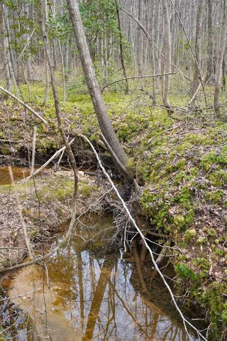 $199,900 | 0 Cantrell Drive, Chesnee, SC 29323