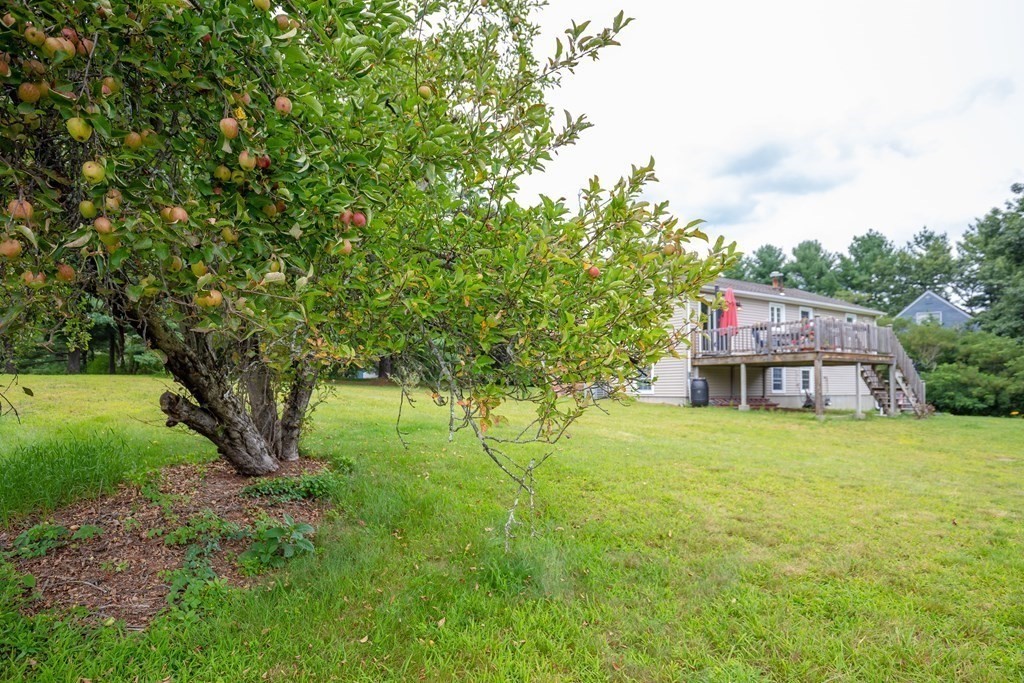 166 Hunt Road Chelmsford, MA 01824 - Photo 32 of 35
