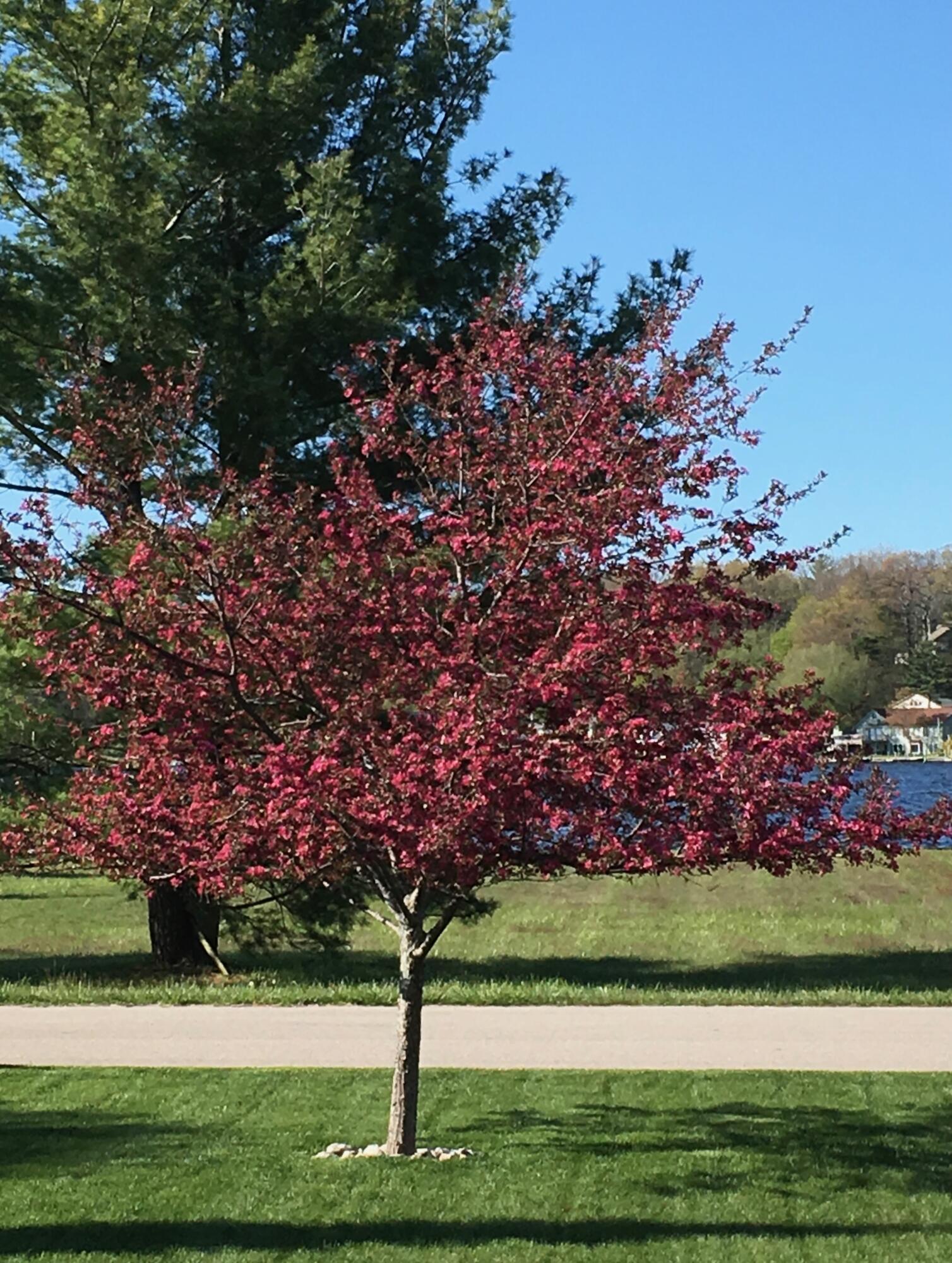 5383 Tonto Road Pentwater, MI 49449 - Photo 42 of 42 IMG_20260410_111749