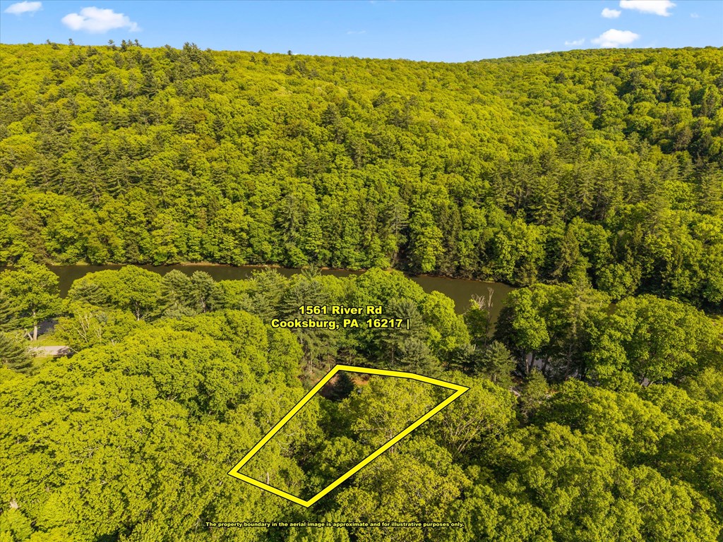 1561 River Road Cooksburg, PA 16217 - Photo 35 of 35