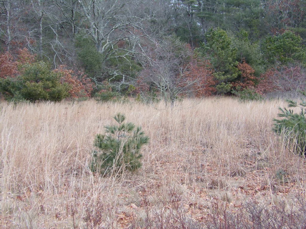 28-3 Keene Road Acushnet, MA 02743 - Photo 4 of 4 Gallery Image 4