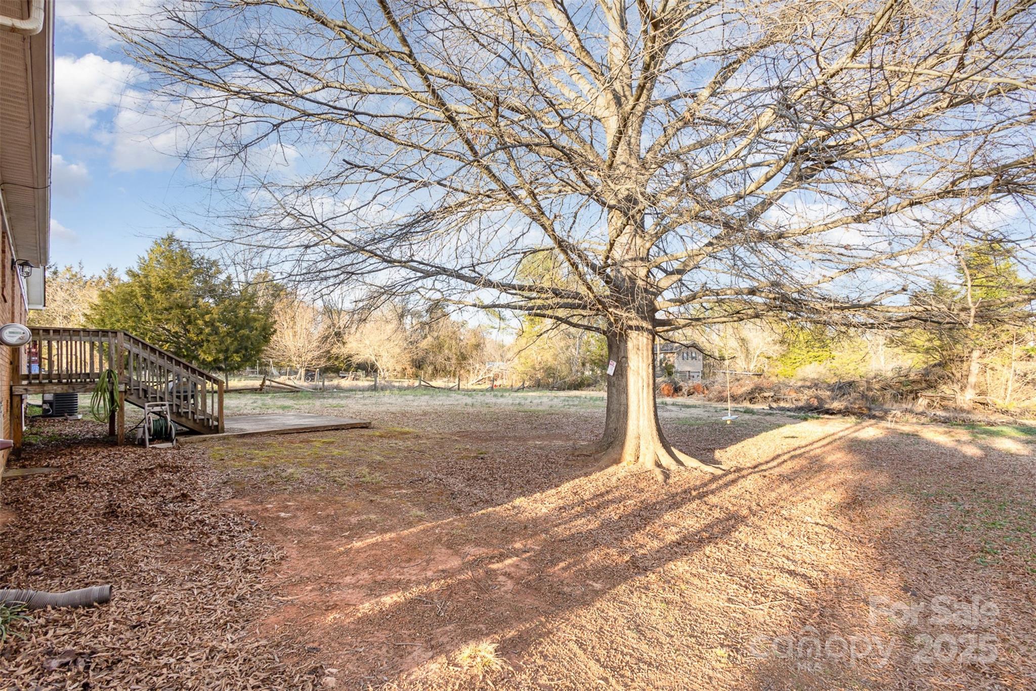 2888 Robinson Road Newton, NC 28658 - Photo 23 of 26 a view of dirt yard with a tree