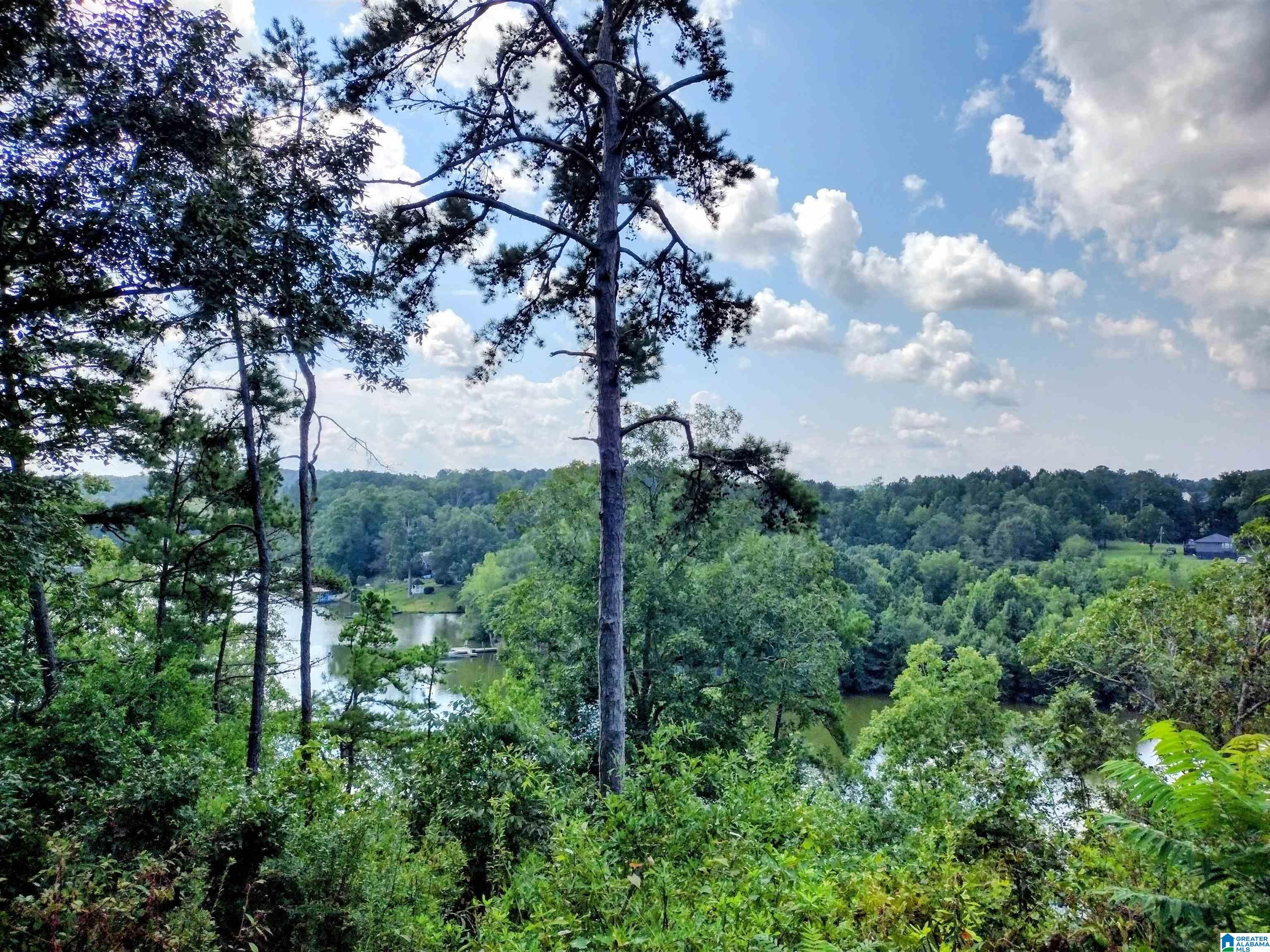 153 Rock Creek Road Heflin, AL 36264 - Photo 17 of 22 Gallery Image 17