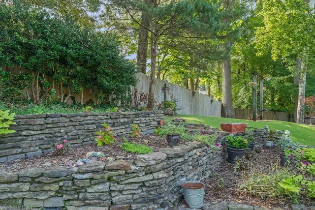 a small garden covered with lots of trees
