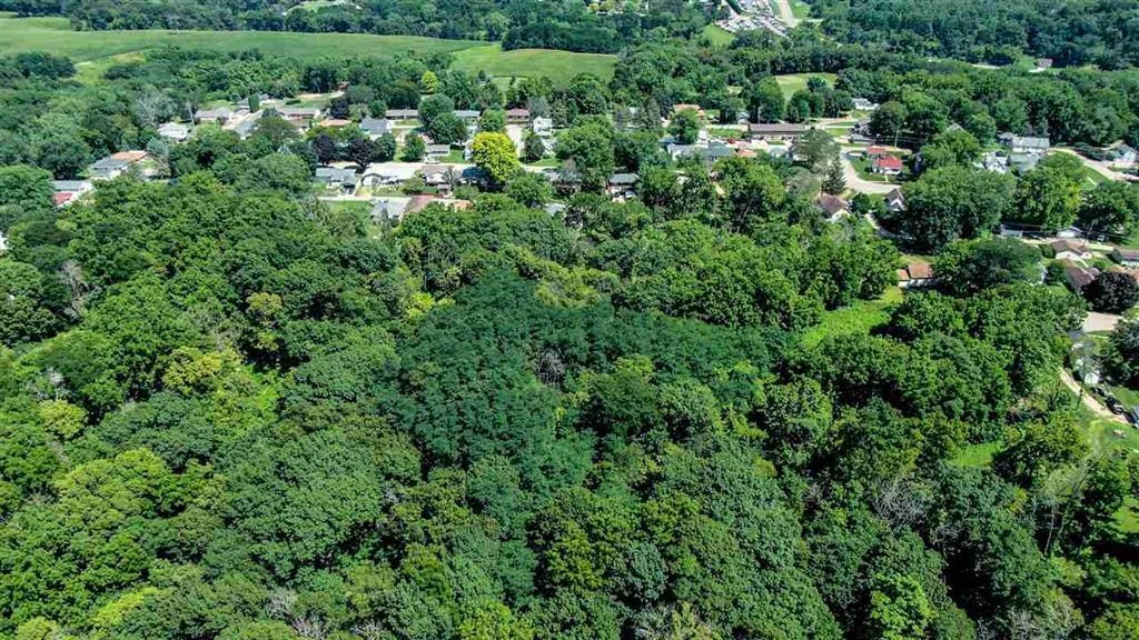 600 Livingston Avenue East Dubuque, IL 61025 - Photo 4 of 9 an aerial view of residential house with outdoor space and trees all around