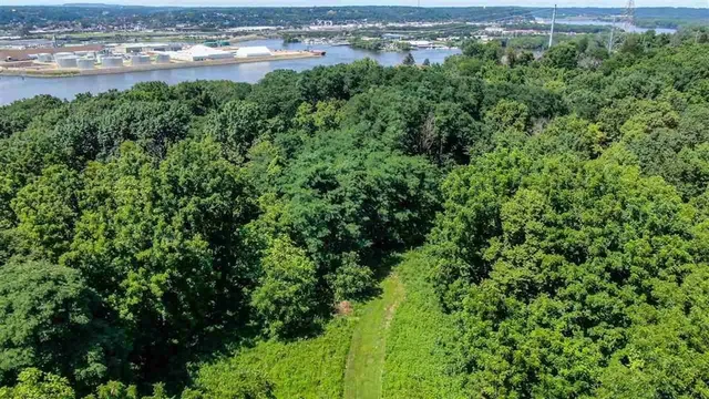 an aerial view of residential houses with outdoor space and trees