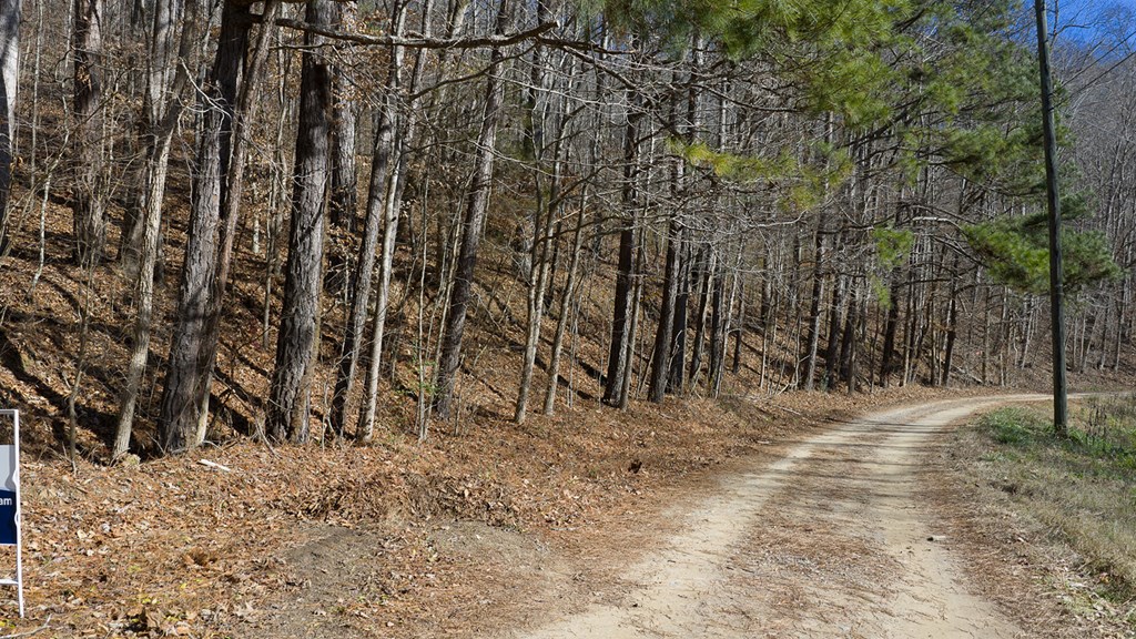 0 Rambling Road Talking Rock, GA 30175 - Photo 14 of 15 Gallery Image 14