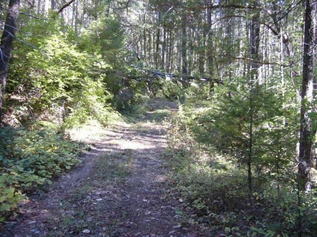 122 Acres Off Usfs Road Happy Camp, CA 96039 - Photo 4 of 25 Gallery Image 4