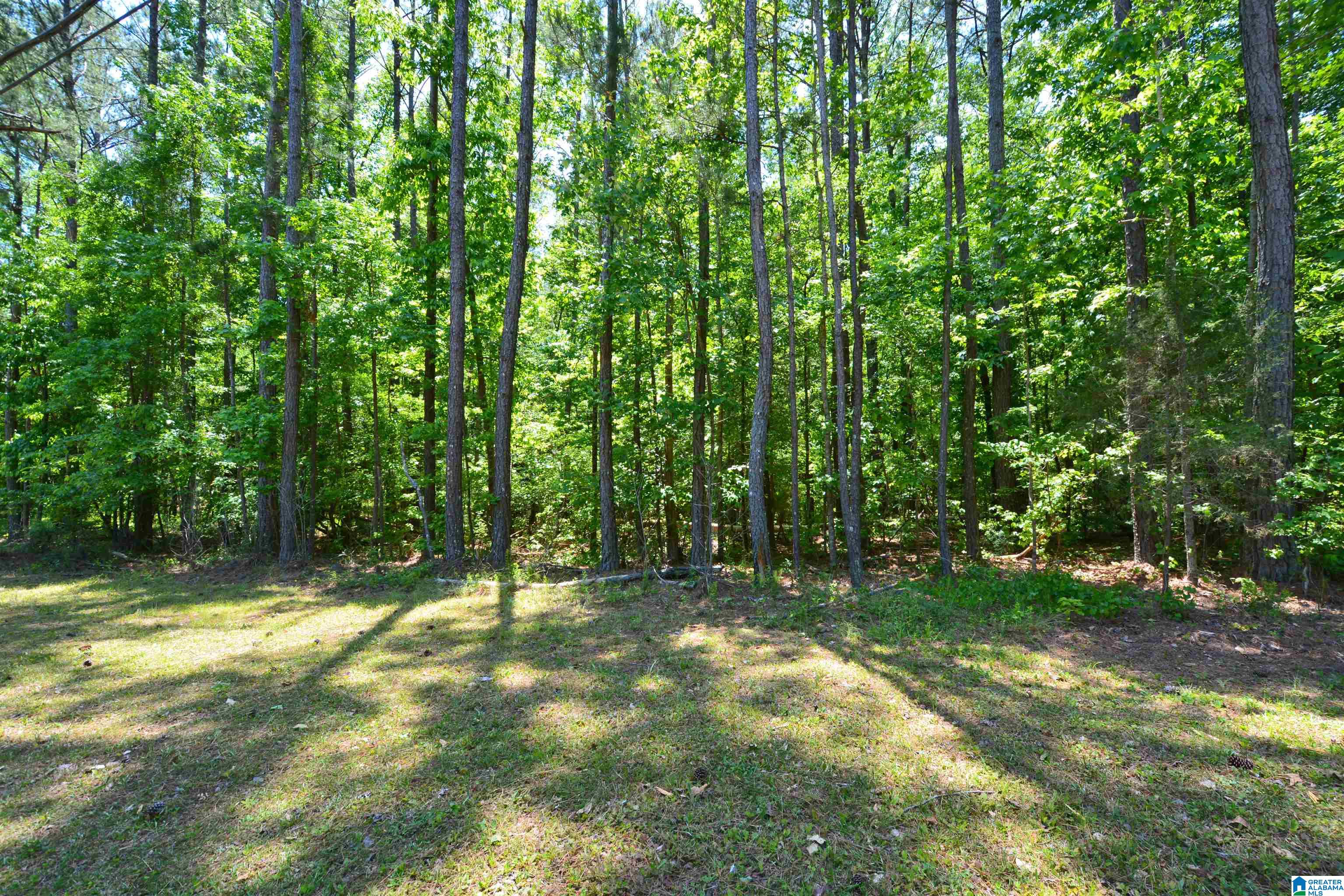 404 Rustic Drive, Unit 1 Birmingham, AL 35216 - Photo 14 of 14