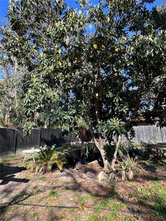 10731 Southwest Libby Road, Unit 3 Clermont, FL 34715 - Photo 49 of 51