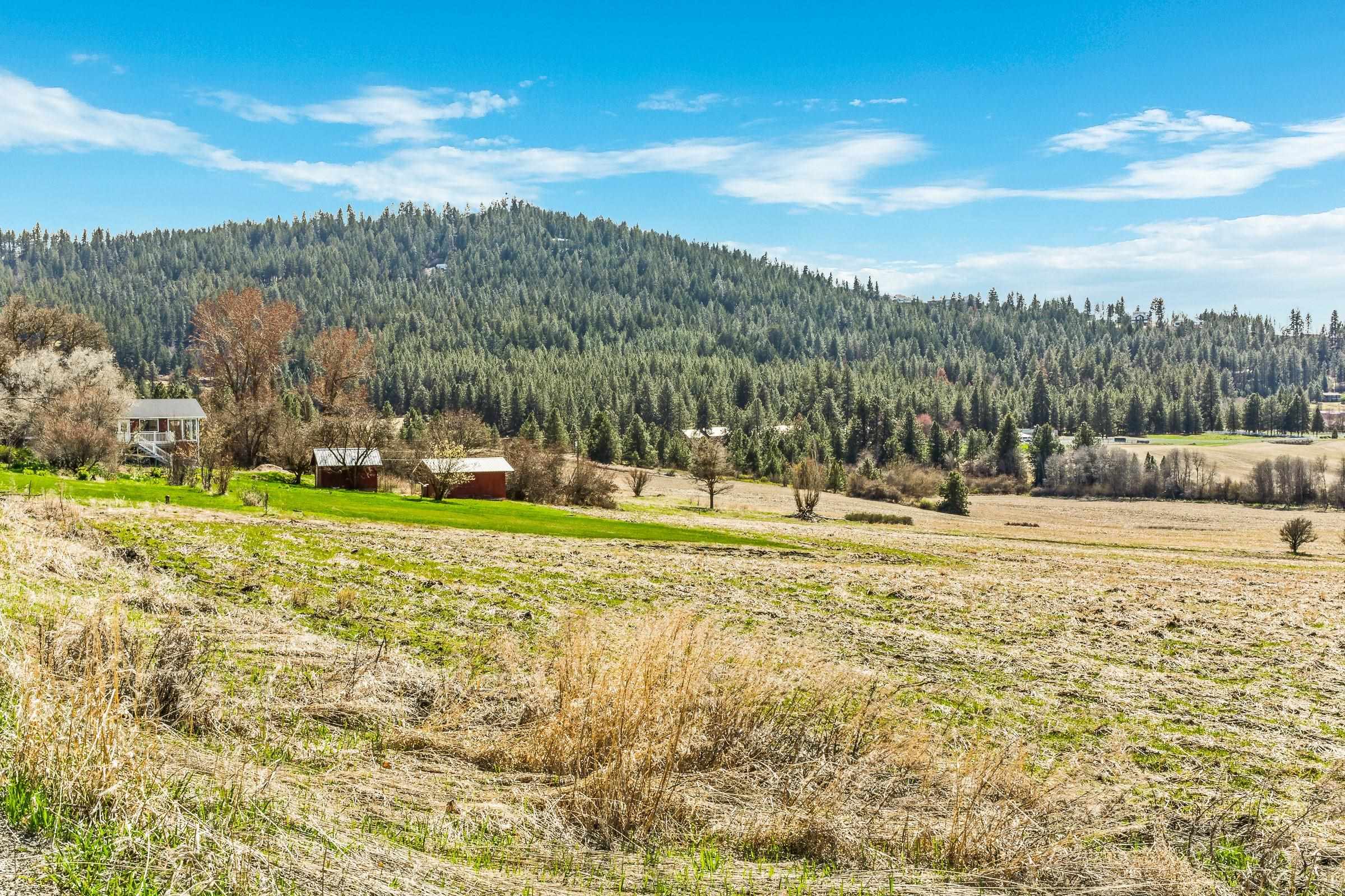 3910 South Eastern Road Spokane, WA 99223 - Photo 43 of 49