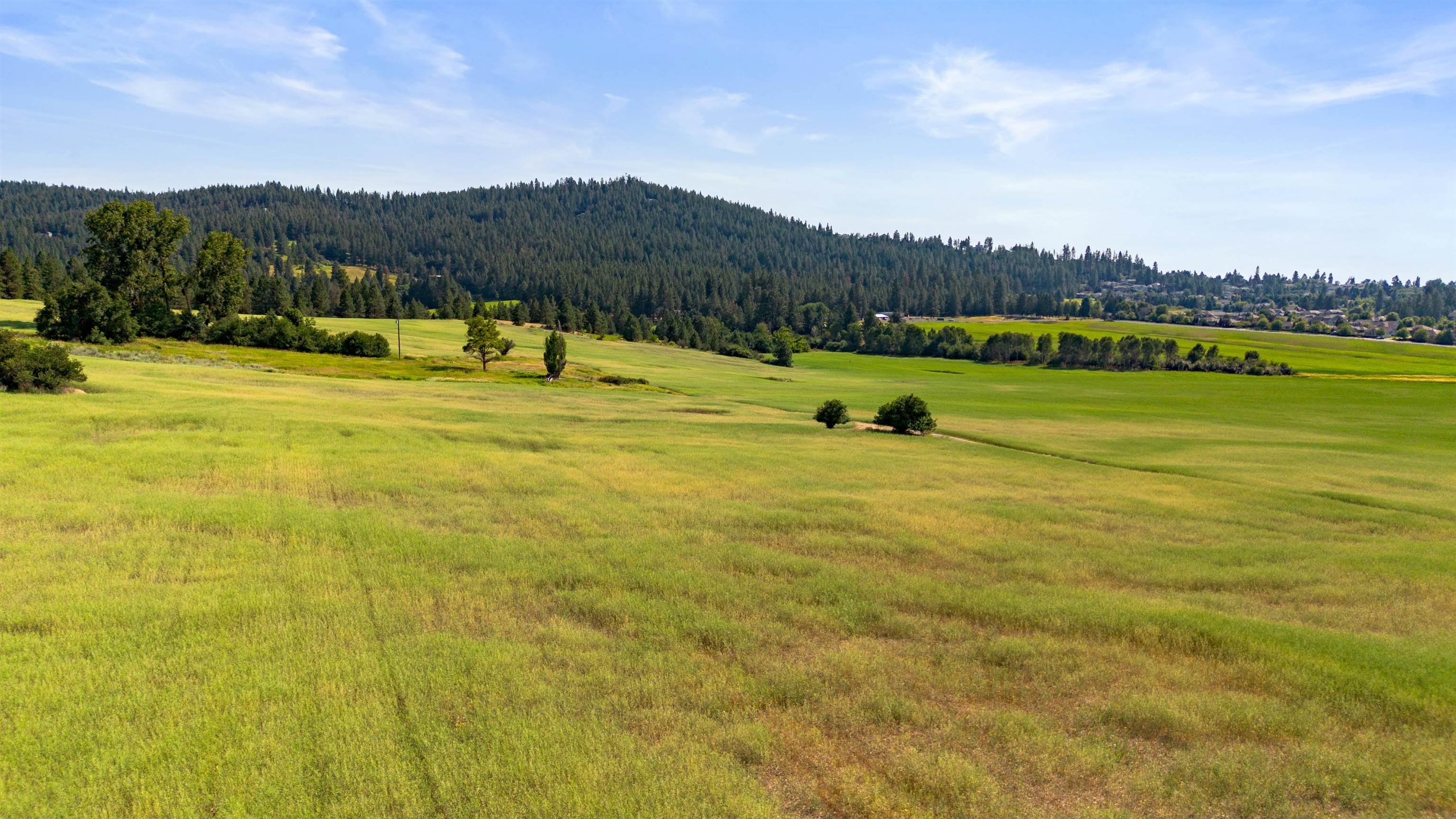 3910 South Eastern Road Spokane, WA 99223 - Photo 47 of 49