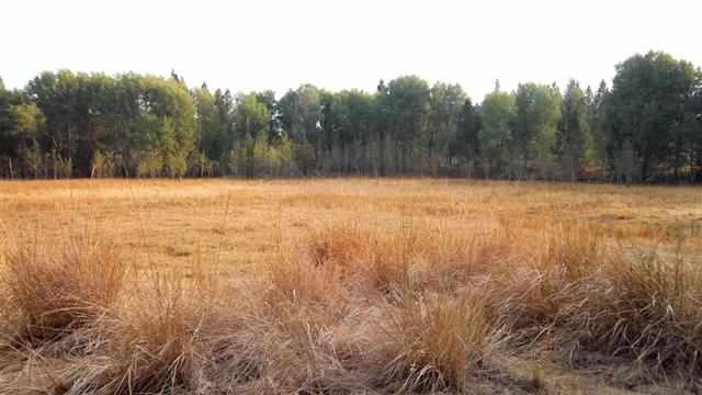 0 South Harmony & Mullinix Road Cheney, WA 99004 - Photo 1 of 18 Gallery Image 1