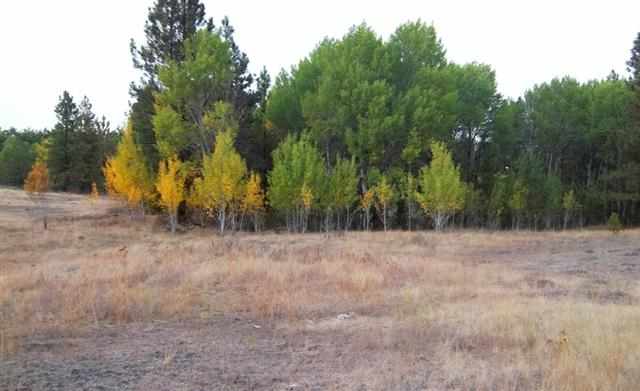 0 South Harmony & Mullinix Road Cheney, WA 99004 - Photo 2 of 18 Gallery Image 2