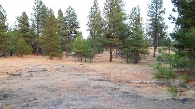 0 South Harmony & Mullinix Road Cheney, WA 99004 - Photo 11 of 18 Gallery Image 11