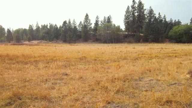 0 South Harmony & Mullinix Road Cheney, WA 99004 - Photo 12 of 18 Gallery Image 12