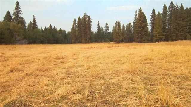0 South Harmony & Mullinix Road Cheney, WA 99004 - Photo 13 of 18 Gallery Image 13
