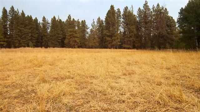 0 South Harmony & Mullinix Road Cheney, WA 99004 - Photo 14 of 18 Gallery Image 14
