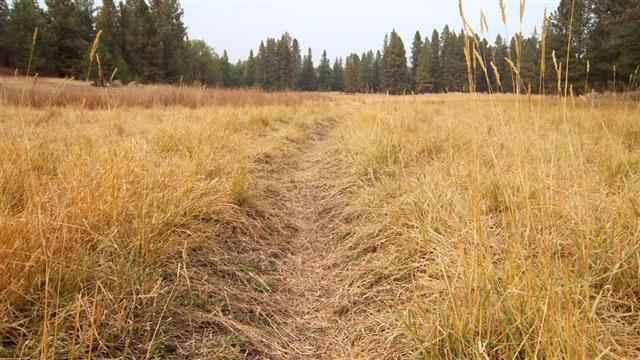 0 South Harmony & Mullinix Road Cheney, WA 99004 - Photo 15 of 18 Gallery Image 15